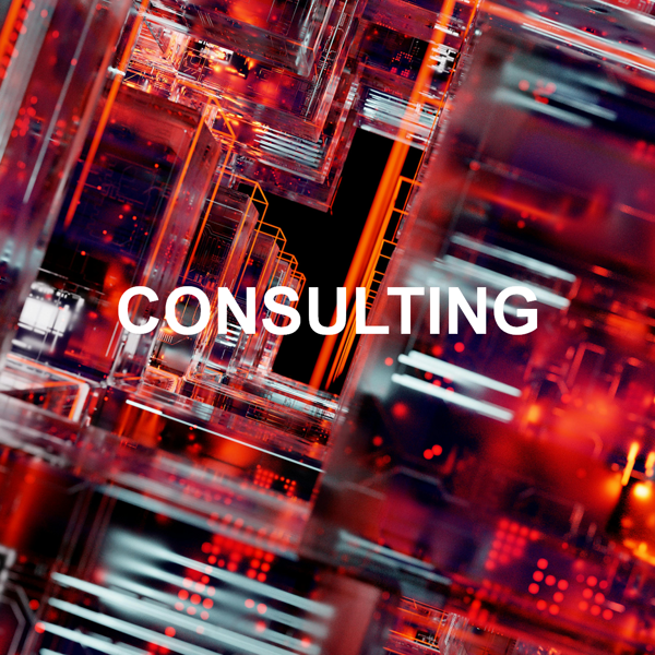 Consulting & Project Management